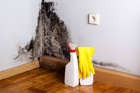 Best Water Damage & Mold Remediation  in Sandstone, MN